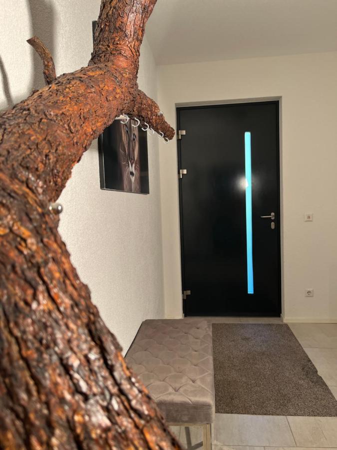Ferienwohnung Natur บาลิงเงน ภายนอก รูปภาพ