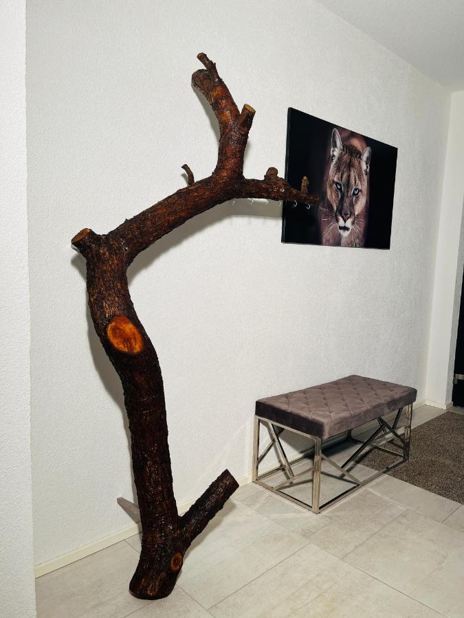 Ferienwohnung Natur บาลิงเงน ภายนอก รูปภาพ